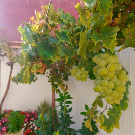 Oda ve Kahvaltı Deidda - Ts 4*