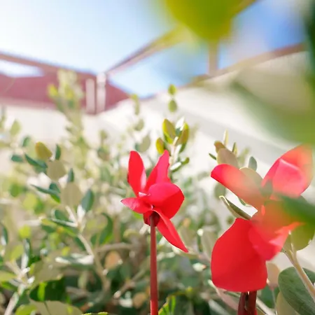 Bed & Breakfast Deidda - Ts San Sperate