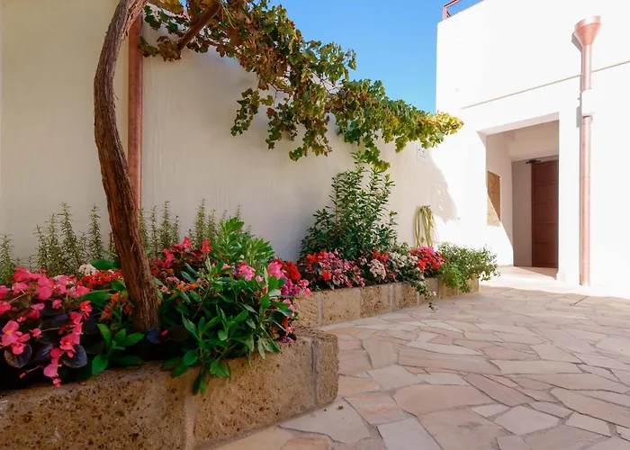 Deidda - Ts San Sperate